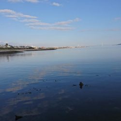 デイメバリング!…のハズが。