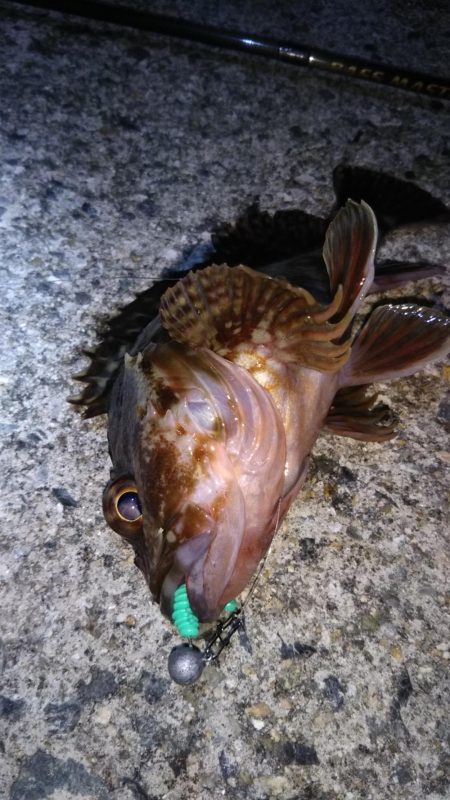 近所に湾奥ロック