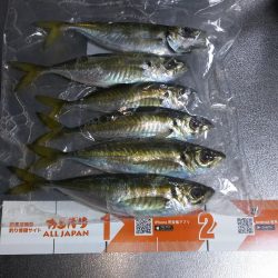 真冬に逆戻り？