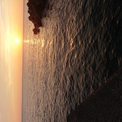 初めての小さな漁港で