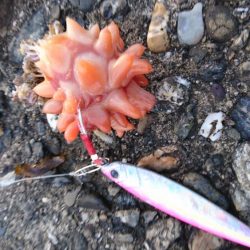 風でルアーが飛びません