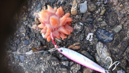 風でルアーが飛びません