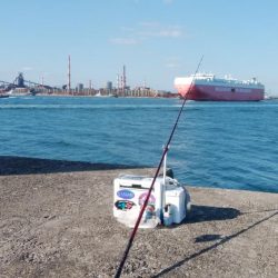 播磨新島でキス釣り
