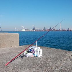 今日も播磨新島