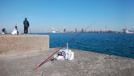 今日も播磨新島