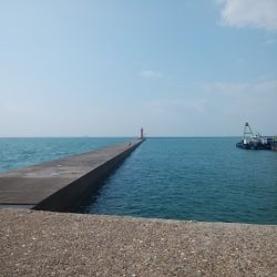 播磨新島でキス釣り