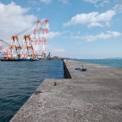 久々に良型キス５匹