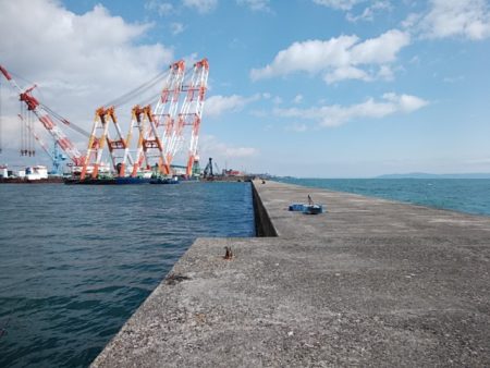 久々に良型キス５匹