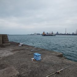 播磨新島のキス情報