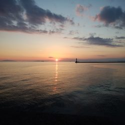 播磨新島のキス情報