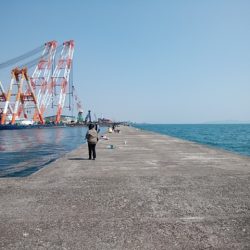 播磨新島のキス情報