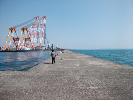 播磨新島のキス情報