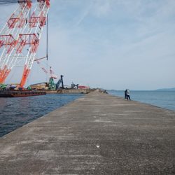 大荒れの播磨新島でキス爆釣