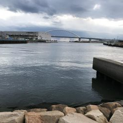 新元号発表前日にナイスフィッシュ