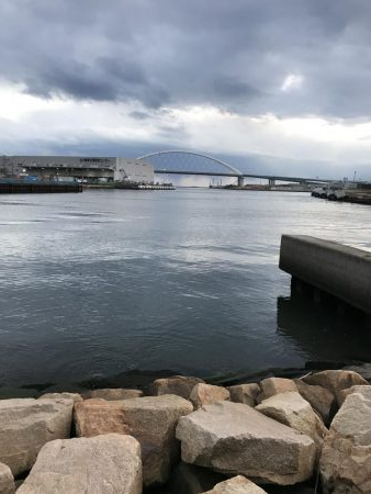 新元号発表前日にナイスフィッシュ