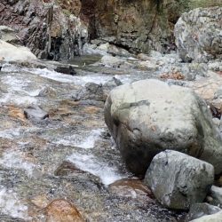 揖保川渓流釣り