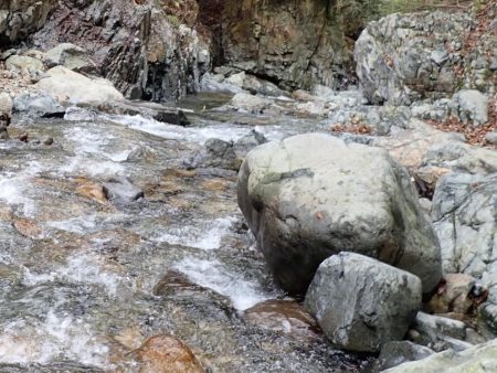 揖保川渓流釣り