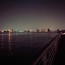 コスモ公園釣行 （渋い中でもなんとか根魚釣果有り～）