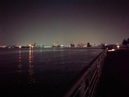 コスモ公園釣行 （渋い中でもなんとか根魚釣果有り～）