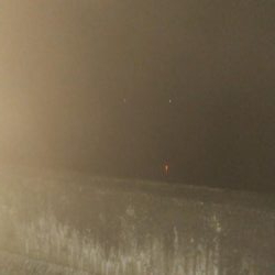 手作りの塩ささみでヒイカ1杯のみ・・・