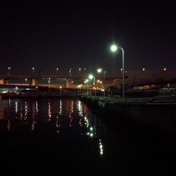 南港フェリーヘチ釣り (下げ潮でも良活性日~ 根魚 釣果有り)