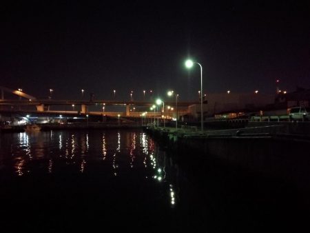 南港フェリーヘチ釣り (下げ潮でも良活性日~ 根魚 釣果有り)