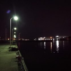 南港フェリーヘチ釣り (今回は下げ潮で不調~ 根魚と謎のカニ 釣果有り)