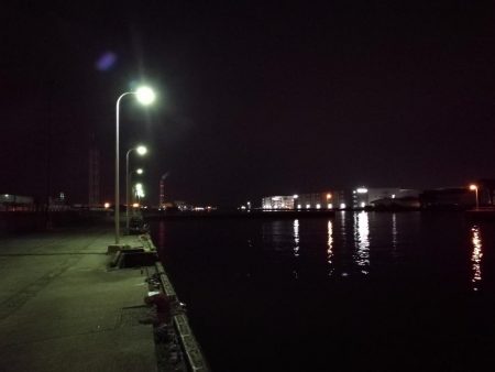 南港フェリーヘチ釣り (今回は下げ潮で不調~ 根魚と謎のカニ 釣果有り)