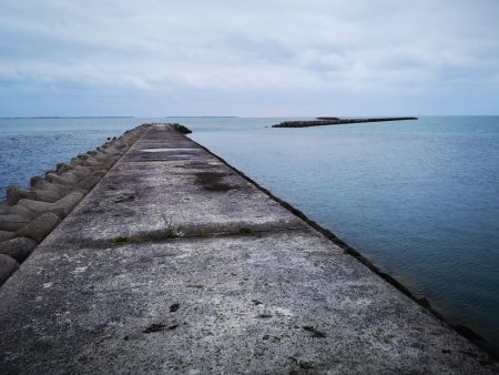 １週間ぶりの釣果です。