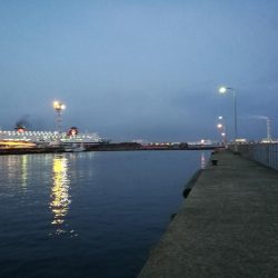 南港フェリーヘチ釣り （雨予報でも根魚は釣れました！ 根魚 釣果有り）