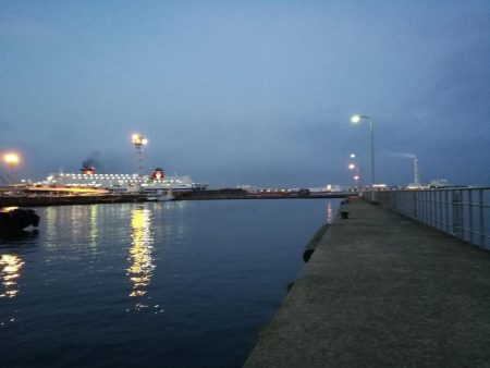 南港フェリーヘチ釣り （雨予報でも根魚は釣れました！ 根魚 釣果有り）