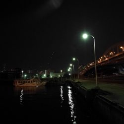 南港フェリーヘチ釣り （4月前で釣果渋いですが根魚の釣果有り）