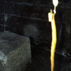 久しぶりの淡路島