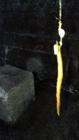 久しぶりの淡路島