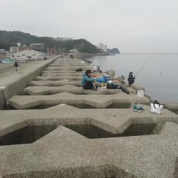 情報どおりでした