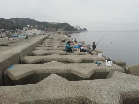 情報どおりでした