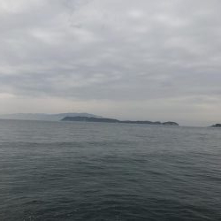 ベイト少なかった