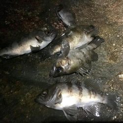 諦めたらそこで試合終了ですよ。