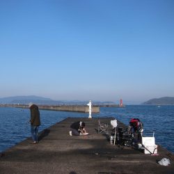 加太の小波止でハマチゲット！！