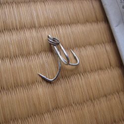 加太大波止の内側でも青物は釣れる