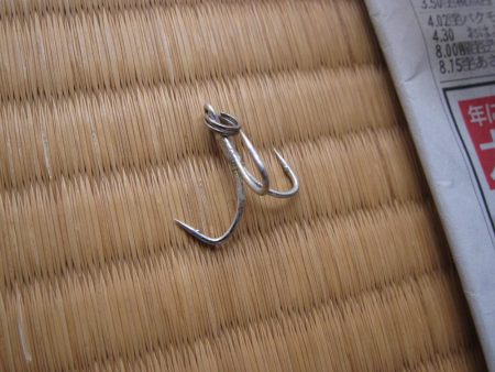 加太大波止の内側でも青物は釣れる