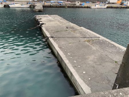 根魚ちゃん、こんにちは!