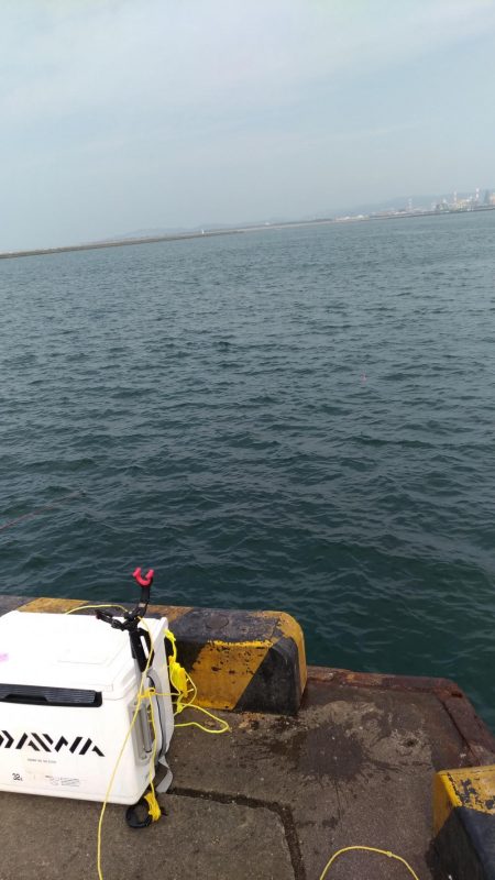 まるまる太ったアジ