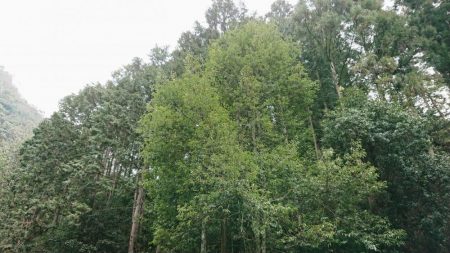 解禁日だより ’19