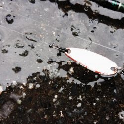 アマゴ釣り Vo,2