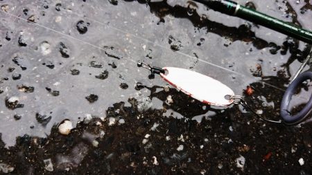 アマゴ釣り Vo,2