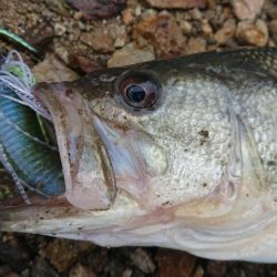 雨の日曜日三種目達成