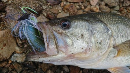 雨の日曜日三種目達成