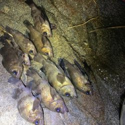 何処も鉄壁のディフェンスっ!!