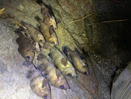 何処も鉄壁のディフェンスっ!!